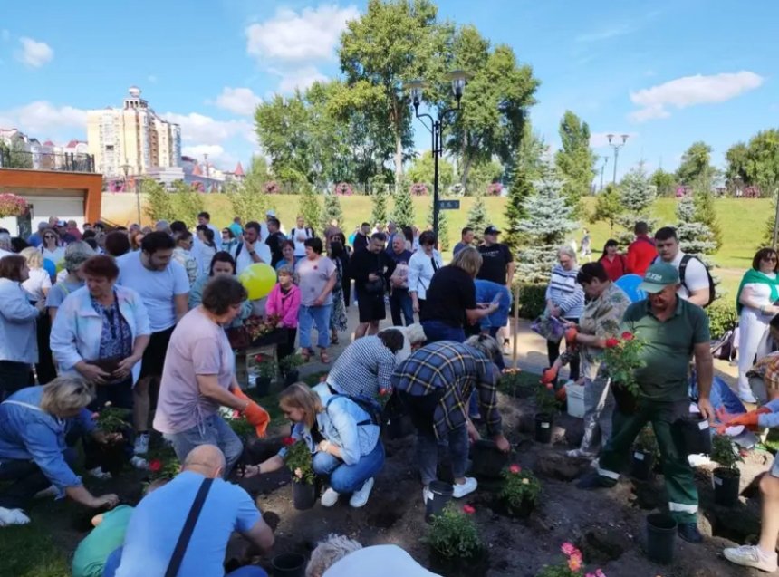 У день міста Бахмута в парку "Наталка" на Оболоні в Києві висадили трояндову алею