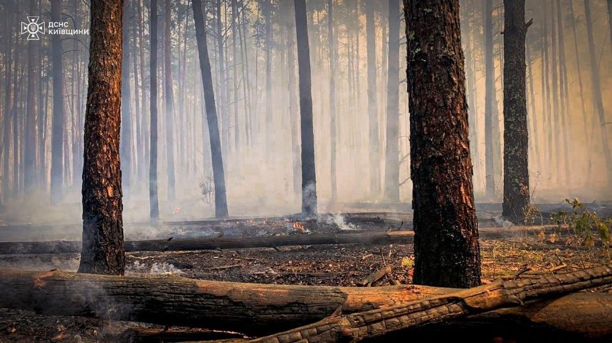 Вогнеборці продовжують боротись з пожежою у зоні відчуження