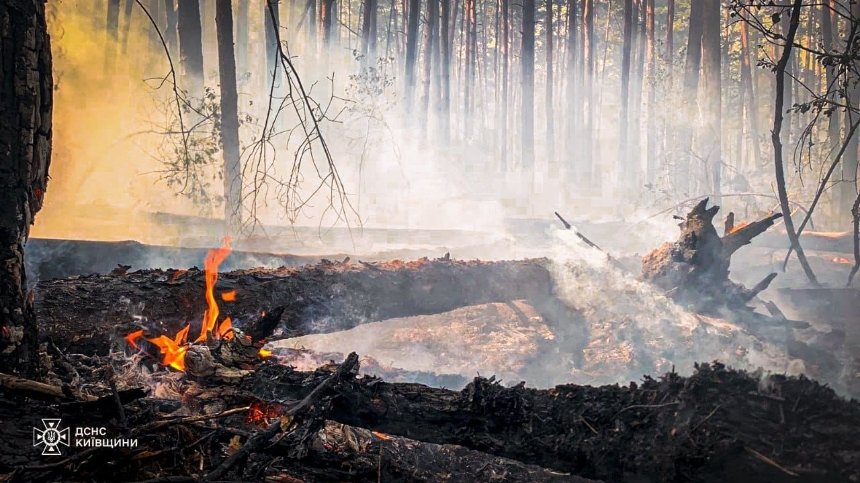 Вогнеборці продовжують боротись з пожежою у зоні відчуження