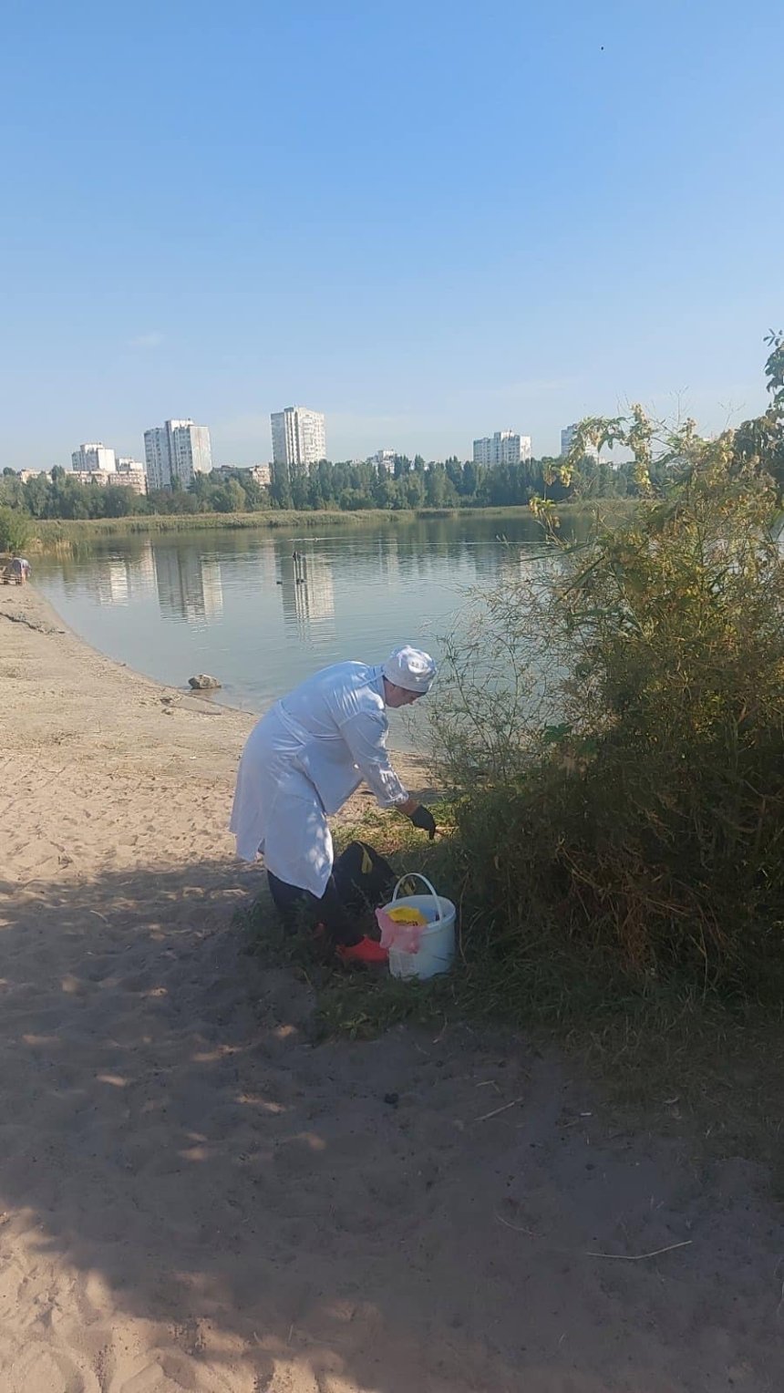 На водоймах Києва розпочали боротьбу з гризунами: фото та подробиці