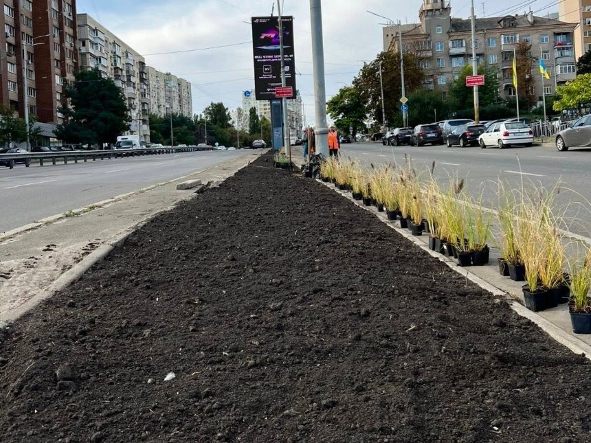 На Голосіївському проспекті висадили нові рослини