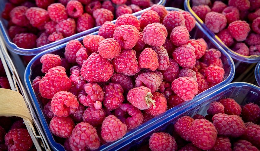 16-21 вересня 2025 року в Києві пройдуть продуктові ярмарки: повний перелік локацій