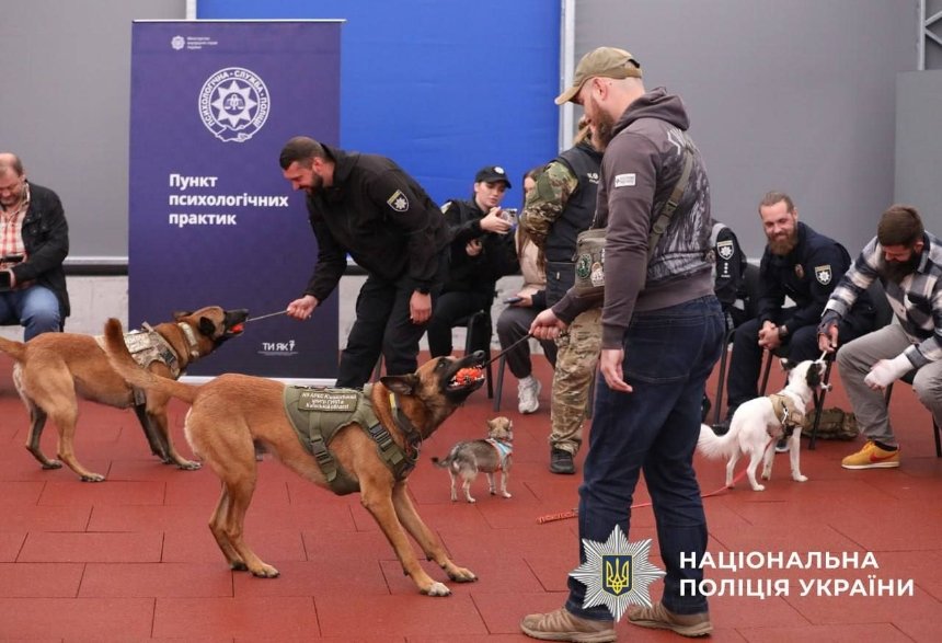 Ветерани та військові проходять реабілітацію із собаками