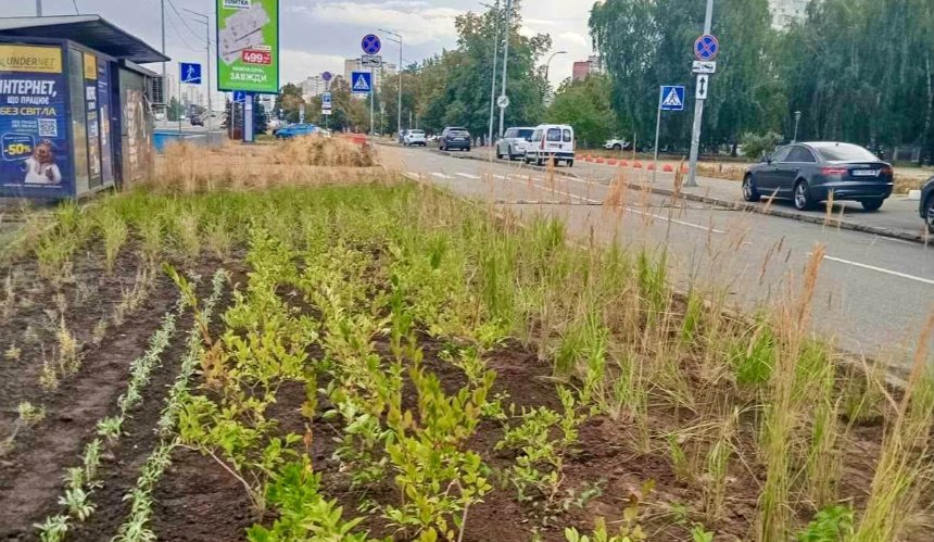 У Деснянському районі створили природний ландшафт "Нова хвиля": як він виглядає