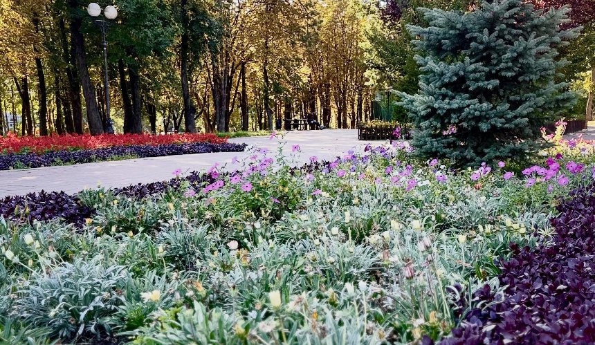 Оксамитовий сезон у Святошині: як виглядає столичний парк "Інтернаціональний" у вересневі дні