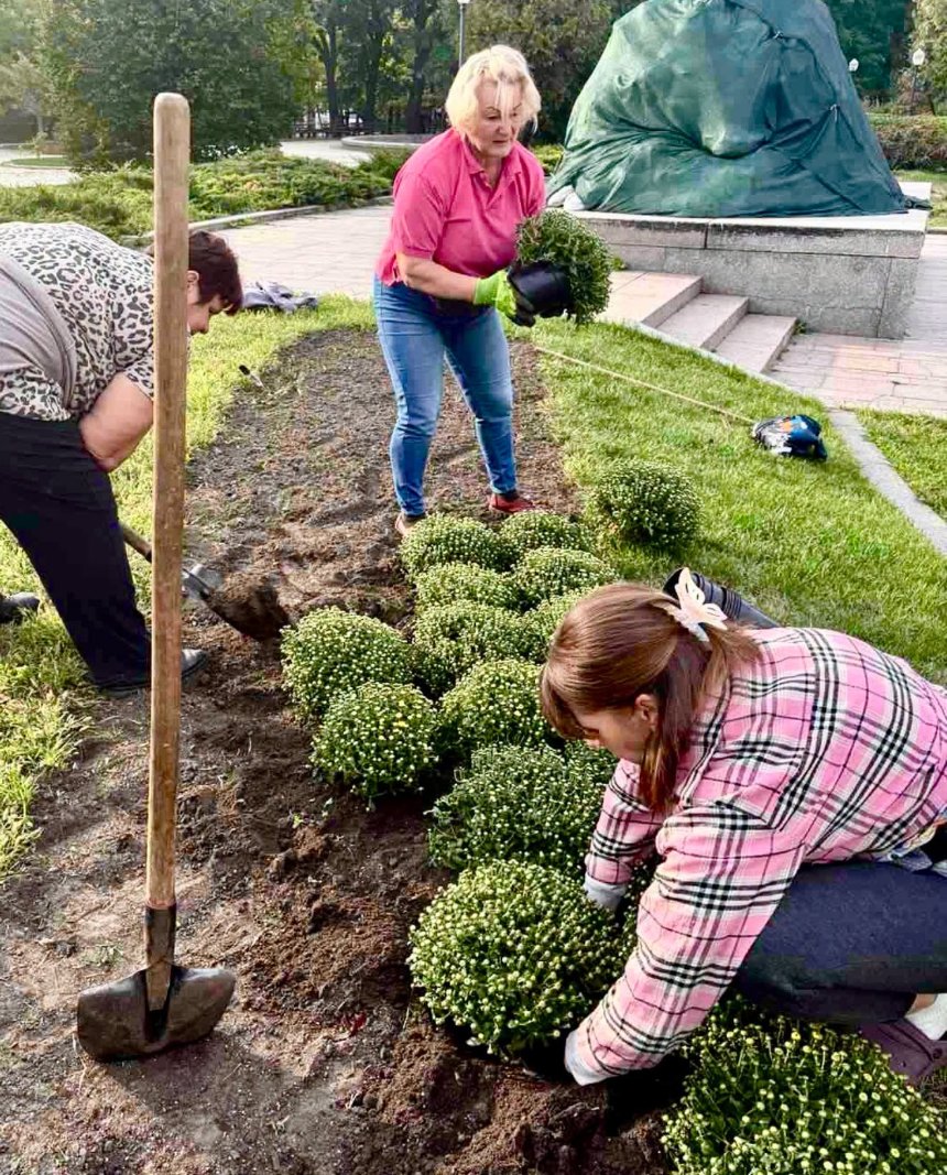 У Києві стартував сезон хризантем