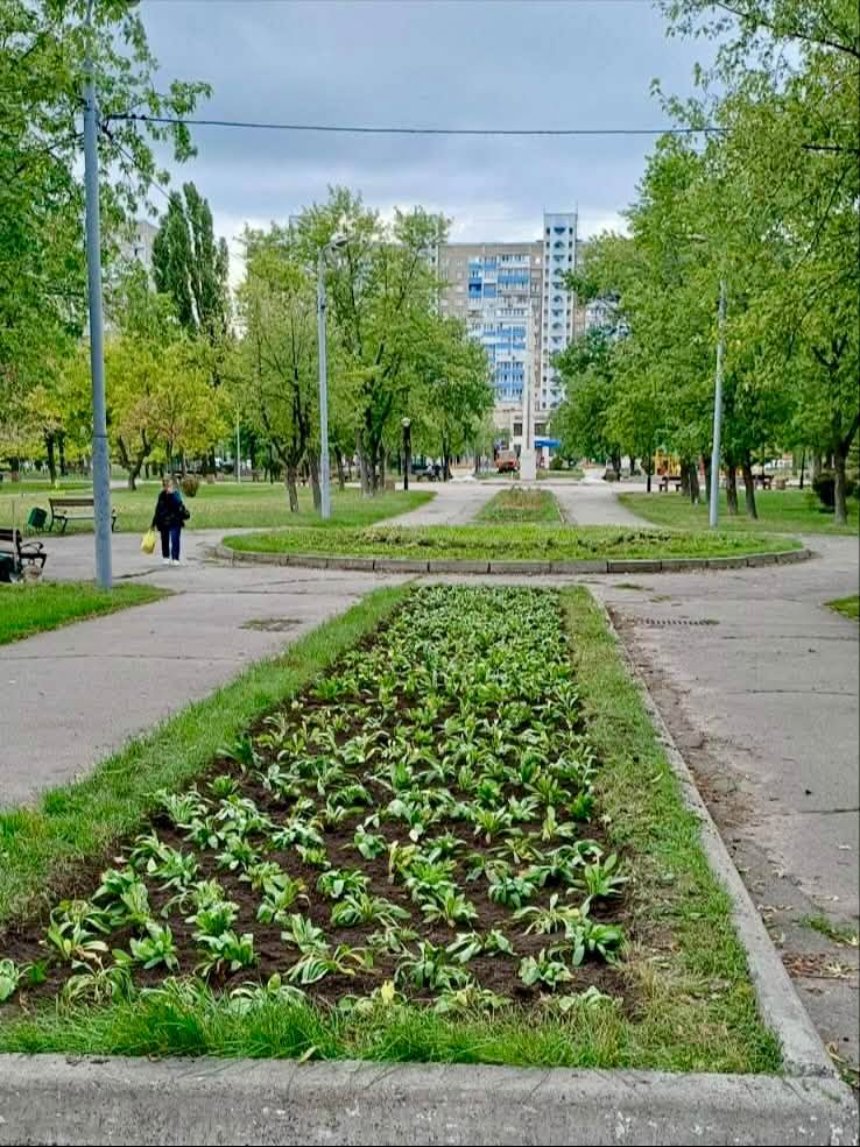 У Деснянському районі висадили композиції з багаторічників і декоративних злаків