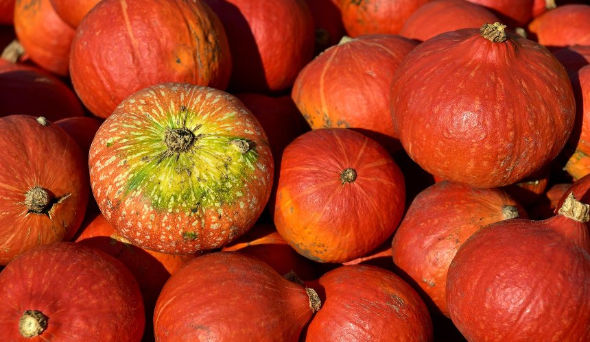 Свіжі овочі, фрукти та фермерська продукція: повний розклад ярмарків у Києві з 29 вересня до 4 жовтня