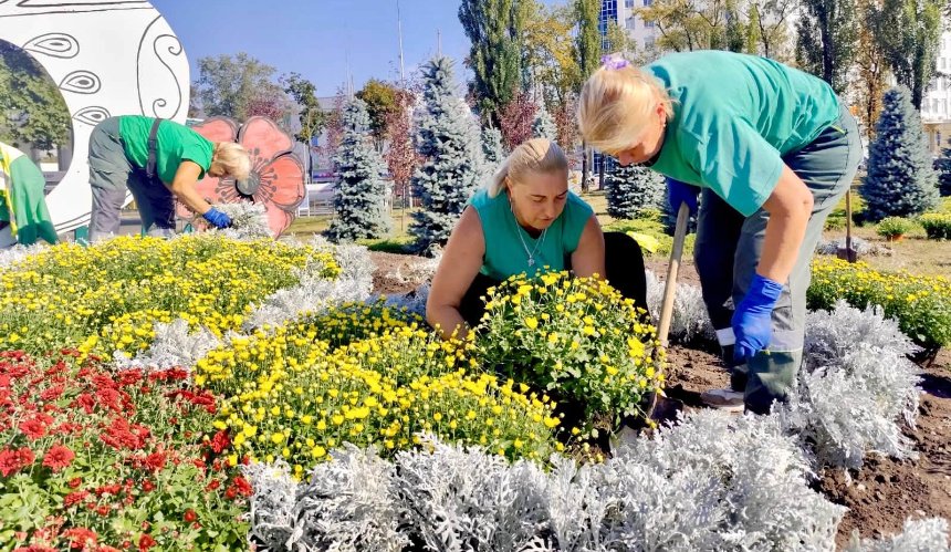 На проспекті Бажана у Києві оновили знакову квіткову композицію хризантемами: фото