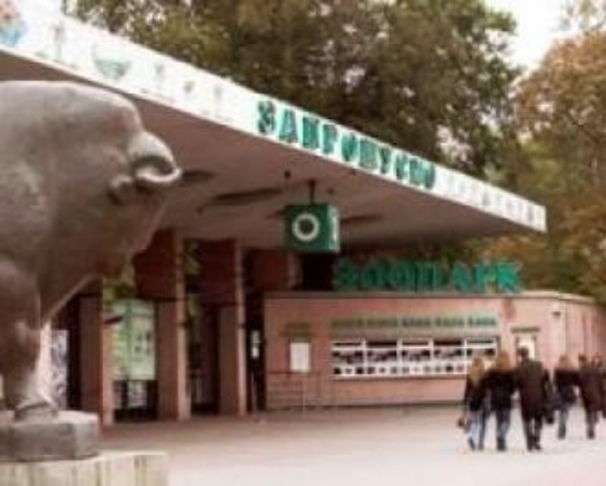 В Киевском зоопарке за год умерло 114 животных