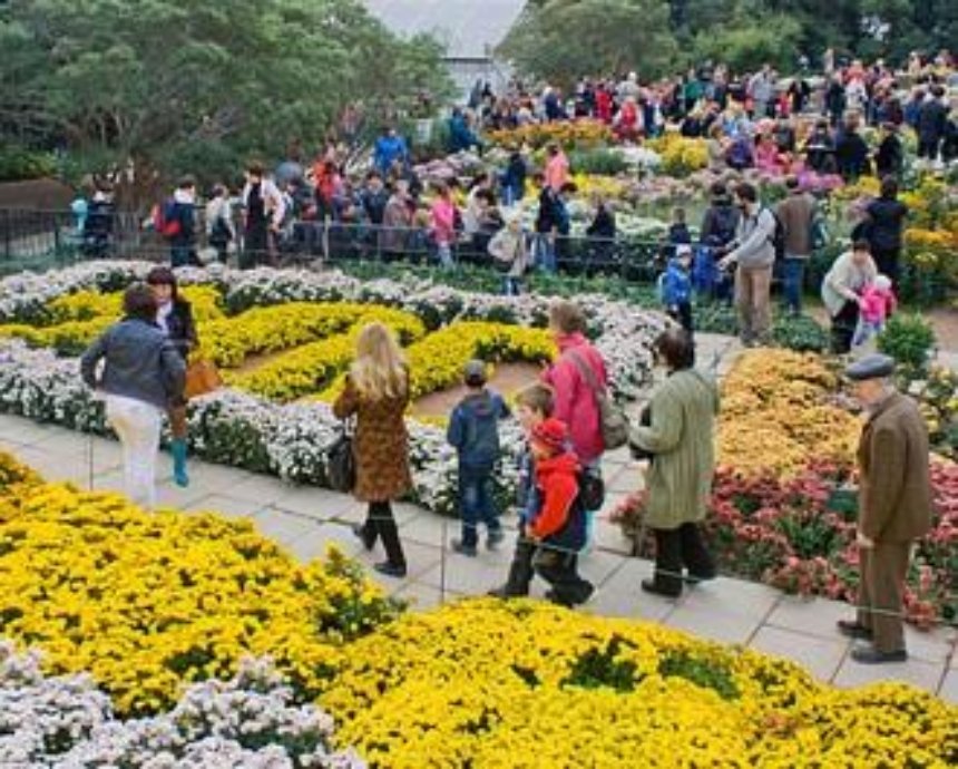 В центре Киева открылась осенняя выставка цветов