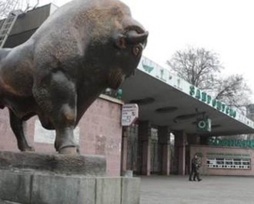 Бывшее руководство киевского зоопарка присвоило более миллиона грн – аудит