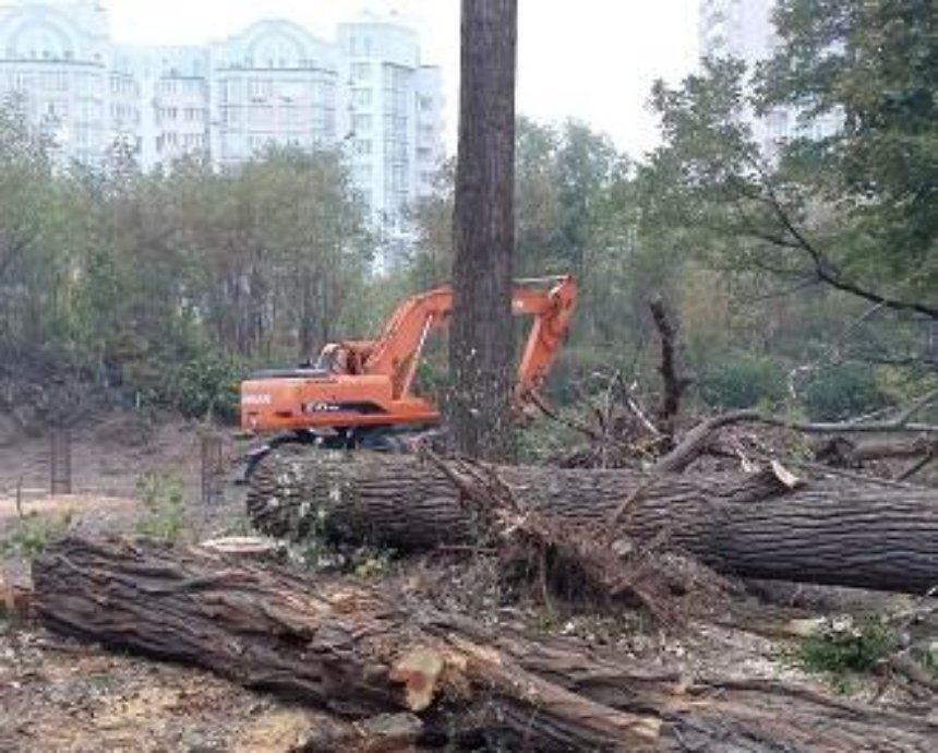 Скандал в Киеве: в Голосеево рубят деревья ради стройки, люди перекрыли дорогу
