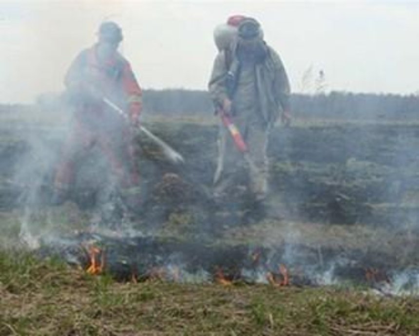 В Киевской области продолжают тушить 45,8 га торфяников