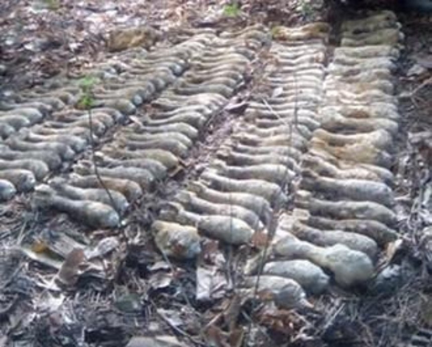 В Киеве найден тайник с сотнями снарядов и мин (фото)