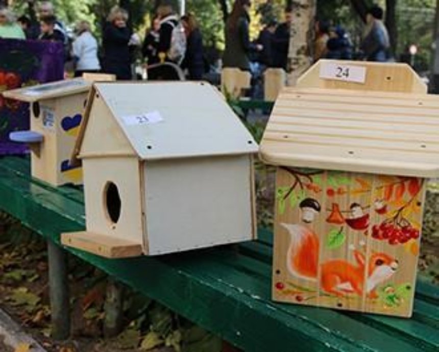 У центральних парках Києва встановлять будиночки для білок (фото)