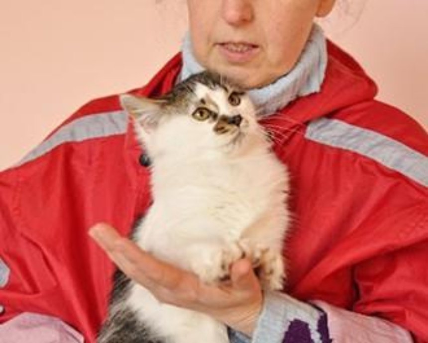 ​В Киеве состоится благотворительная ярмарка кошек