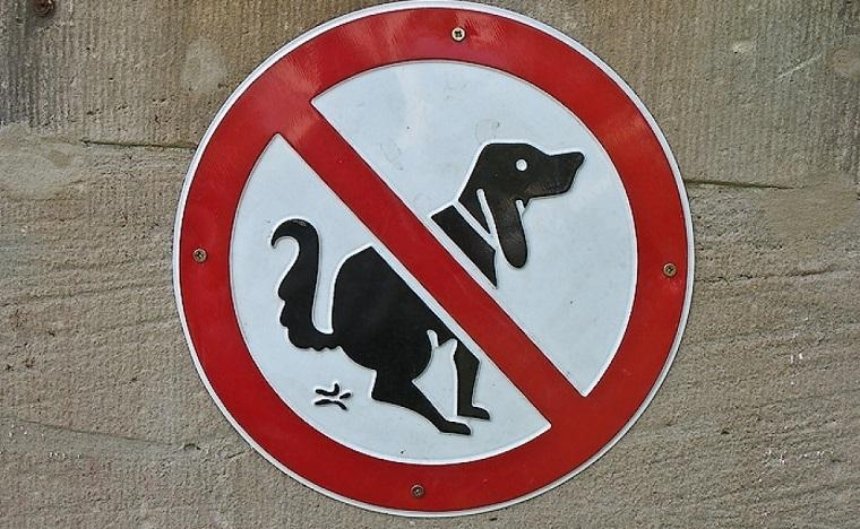 В Киеве запретят гулять с собаками возле школ и больниц