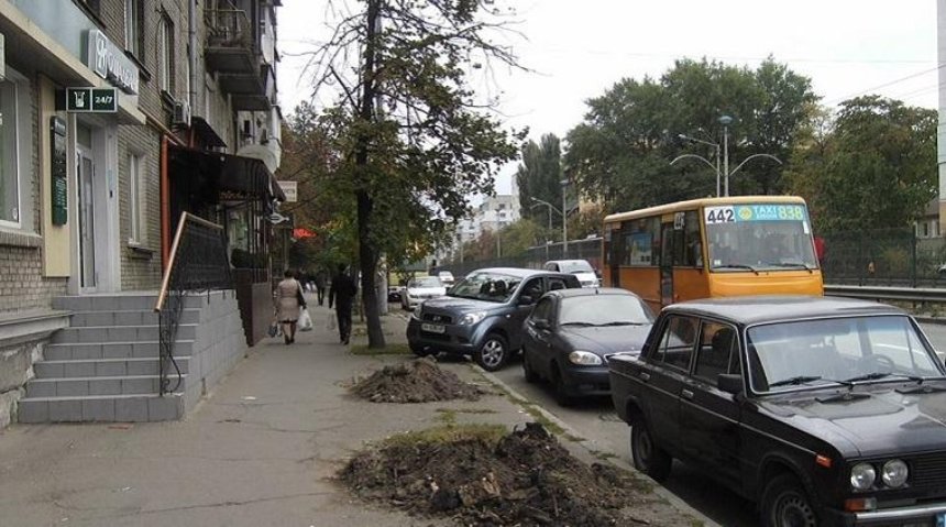 В Соломенском районе выкорчевали деревья (фото)