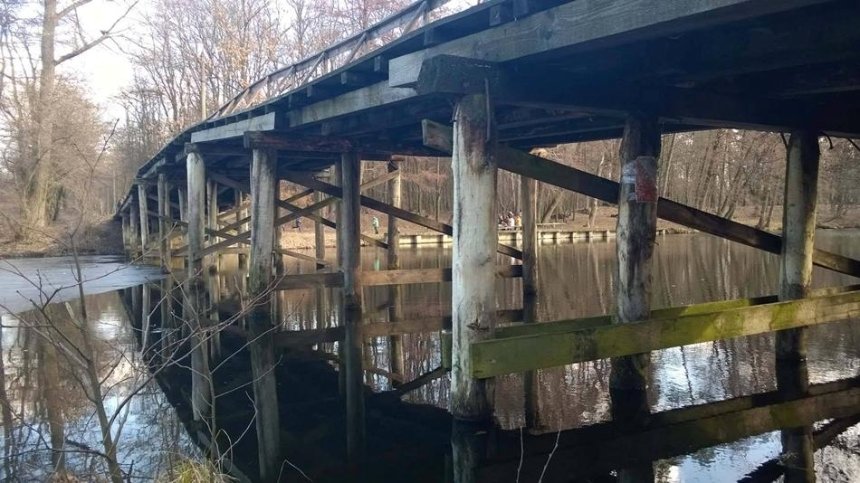 В Пуще-Водице восстановят исторический мостик через пруд