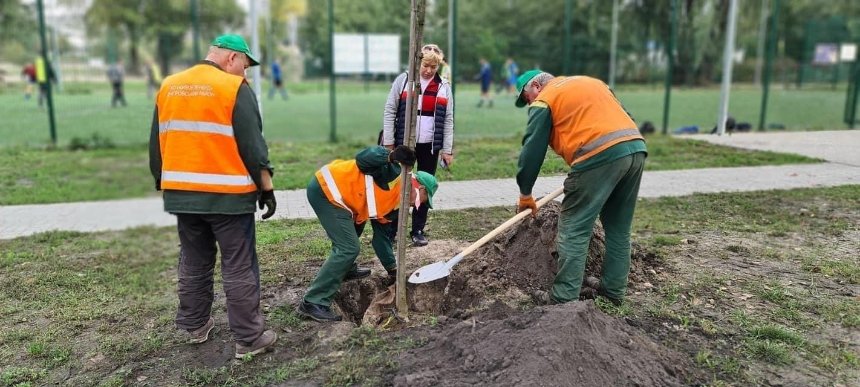 Во время субботников в Киеве высадили более 300 деревьев 