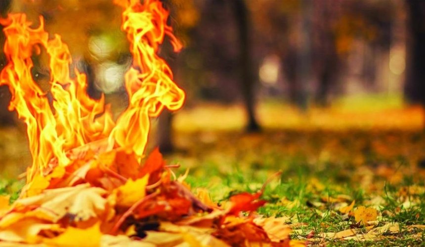 Киевлянам напомнили о штрафах за сжигание листьев 
