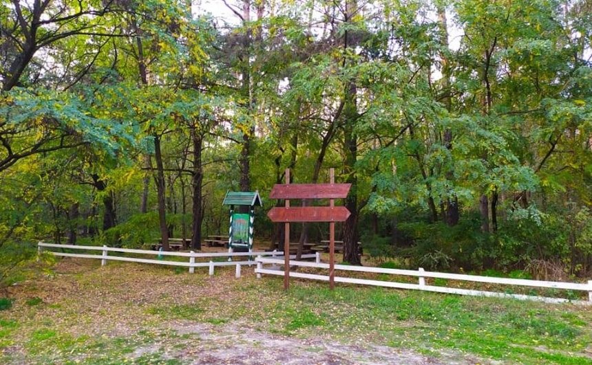 В Дарницком лесу обновили две зоны отдыха
