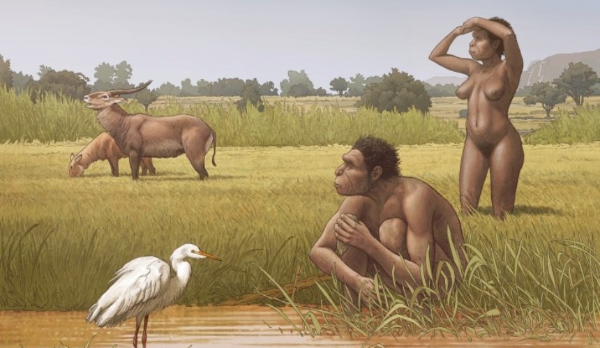 В Африке нашли предка человека, жившего 500 тыс. лет назад