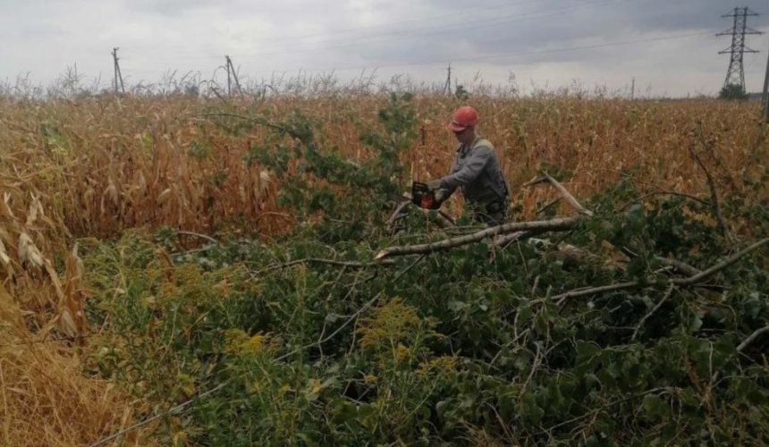 На Київщині майже пів сотні населених пунктів залишаються без світла через негоду