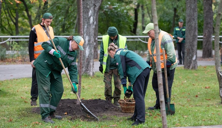 Тисячі дерев та кущів: скільки зелених насаджень висадили у Києві з початку року