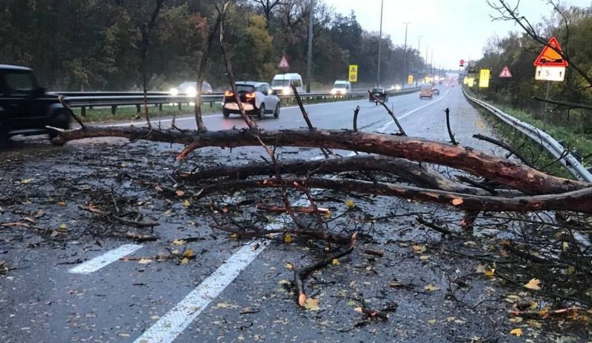 Штормовий вітер у Києві: наслідки негоди