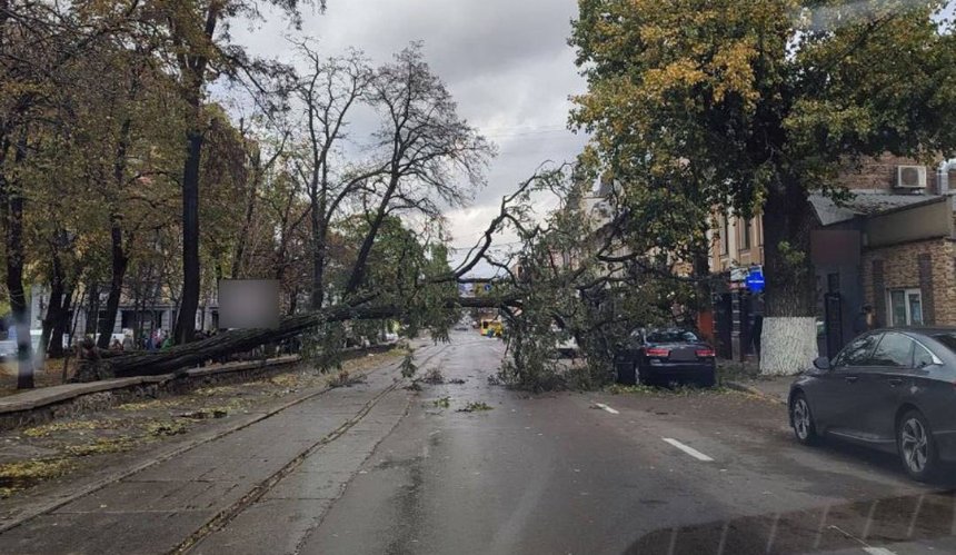 На Подолі перекрили рух через повалені дерева