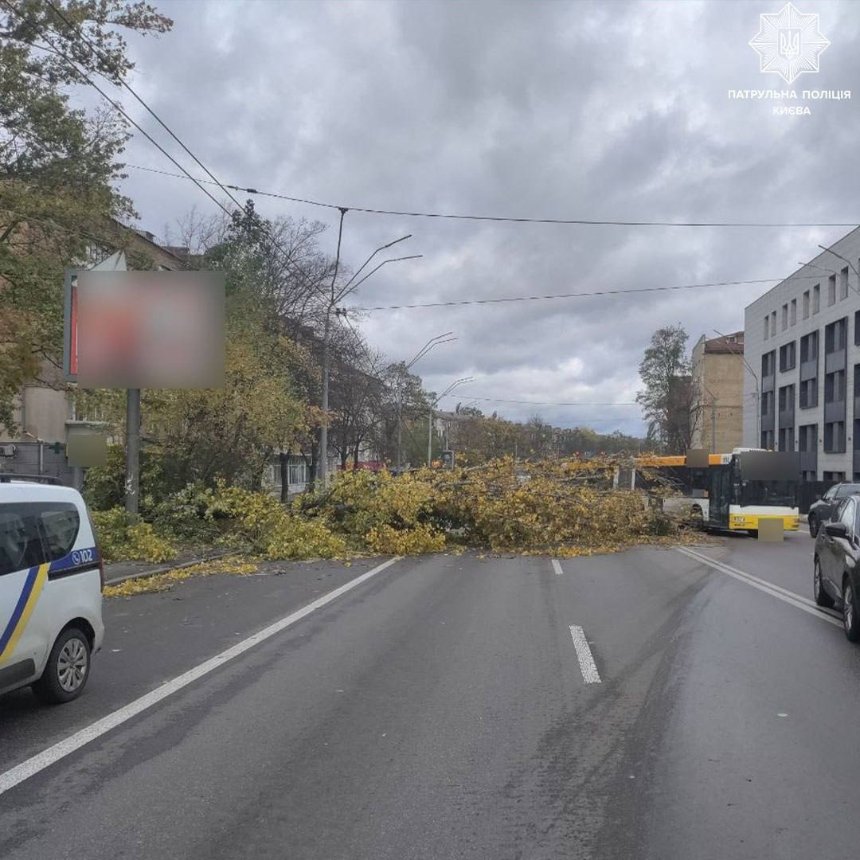 На Подолі перекрили рух через повалені дерева