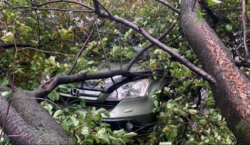 На вихідних в Києві зафіксували рекорд максимальної швидкості вітру