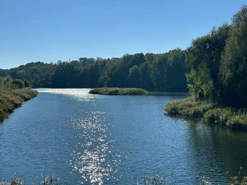 Совські ставки під загрозою