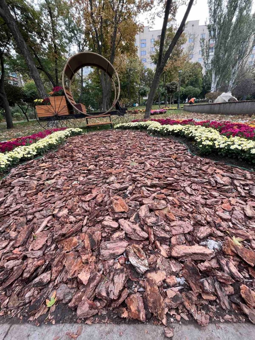 У Печерському районі з'явилася нова квіткова фотозона