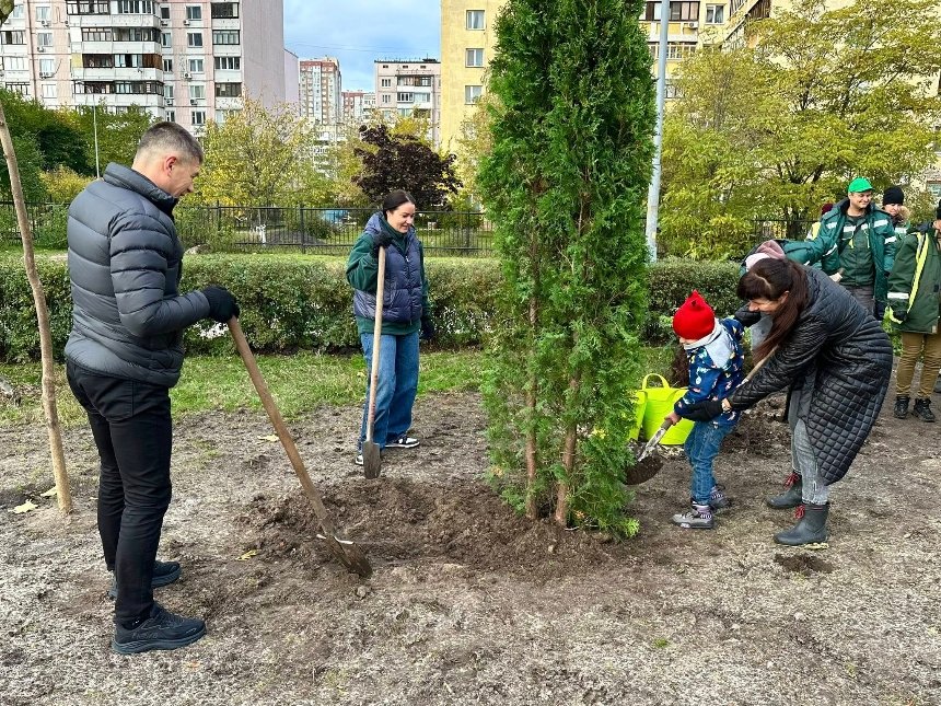 Сквер у Дарницькому районі прикрасили вічнозеленими туями
