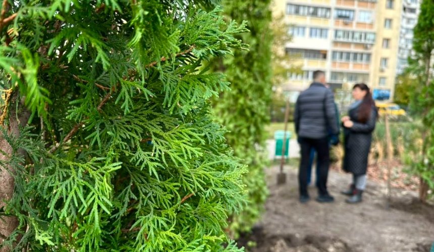 Сквер у Дарницькому районі прикрасили вічнозеленими туями: фото