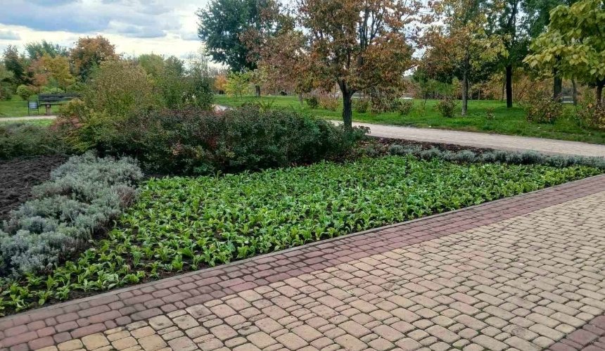 Парки Дніпровського району прикрасили 13,5 тисяч багаторічних квітів: фото