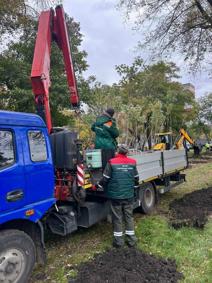 У Голосіївському районі висадили 170 нових дерев У Голосіївському районі висадили 170 нових дерев