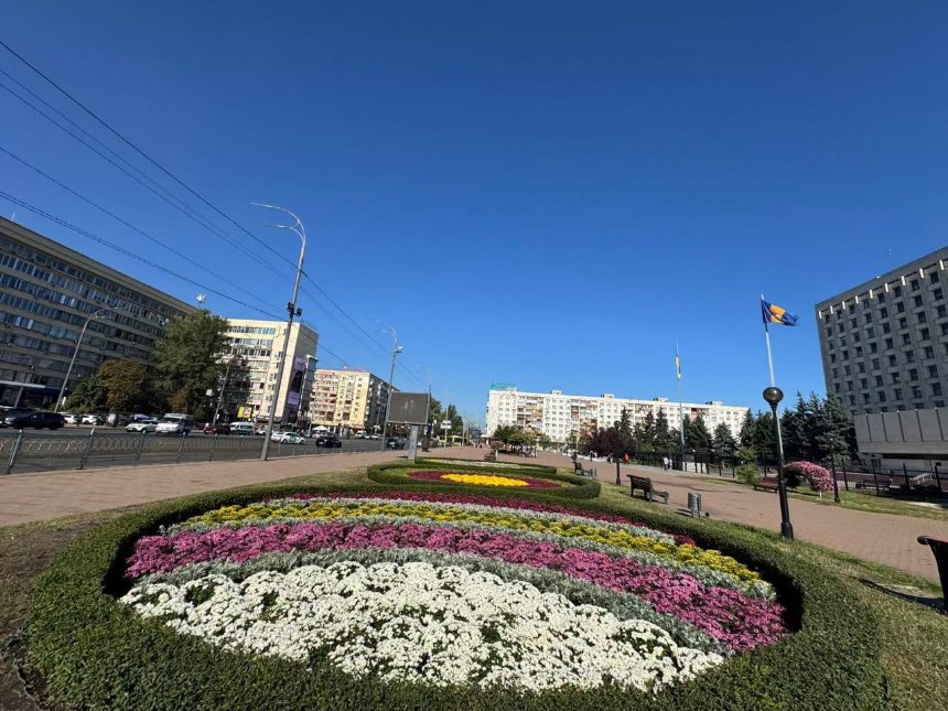 У Києві висадять понад 10 тисяч хризантем