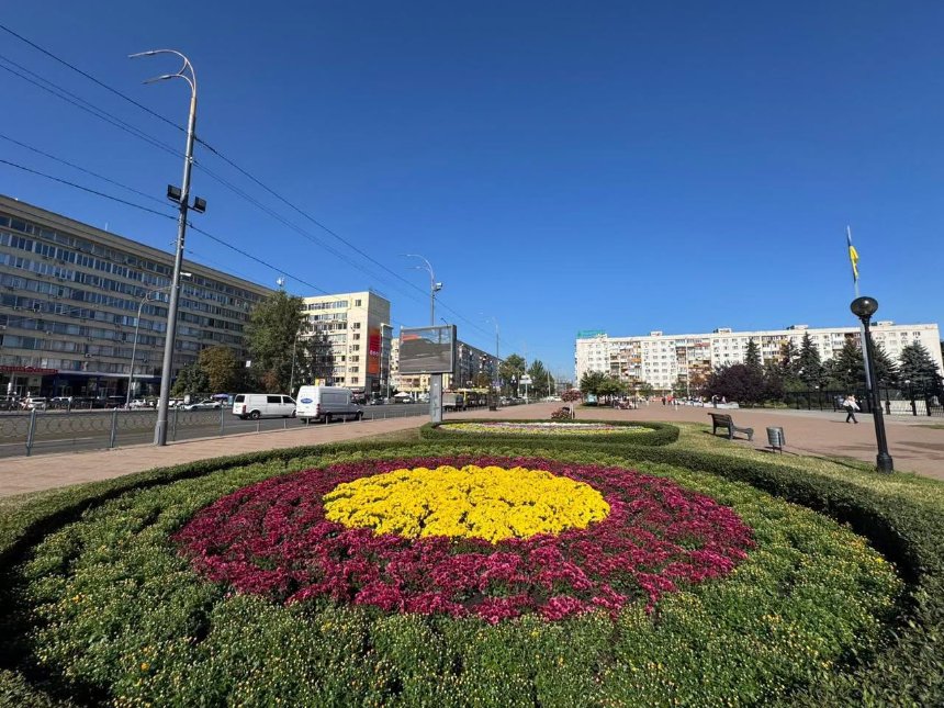 У Києві висадять понад 10 тисяч хризантем