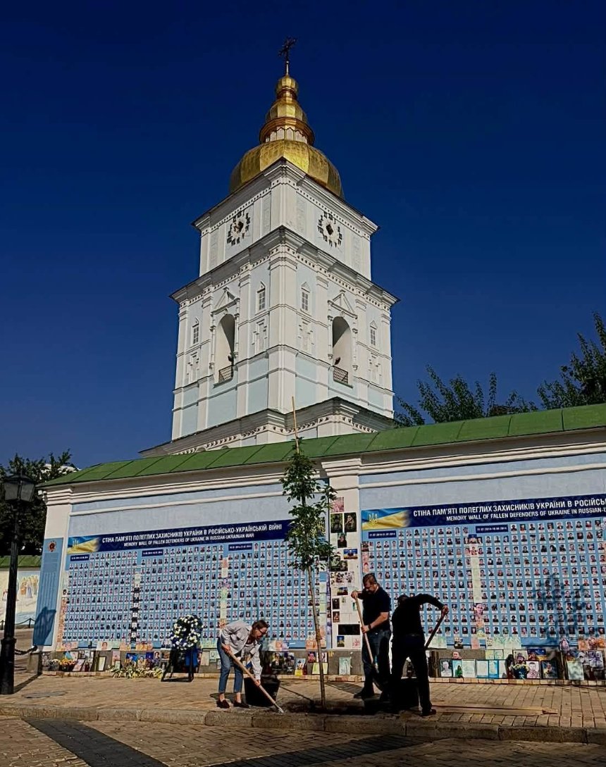 Біля Михайлівського собору поруч зі Стіною пам’яті у Києві висадили 12 кленів Фрімана