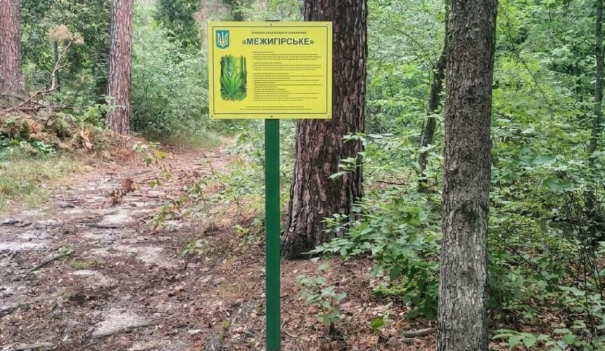 Прокуратура через суд вимагає встановити межі заказника "Межигірське" у Києві: деталі