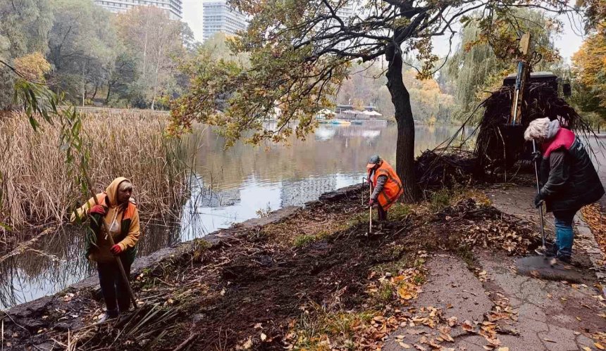 У Голосіївському районі провели осінню толоку на Оріхуватських ставках: фото