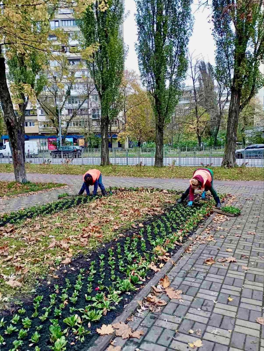 У парках та скверах Дніпровського району висаджують квіти й декоративні злаки