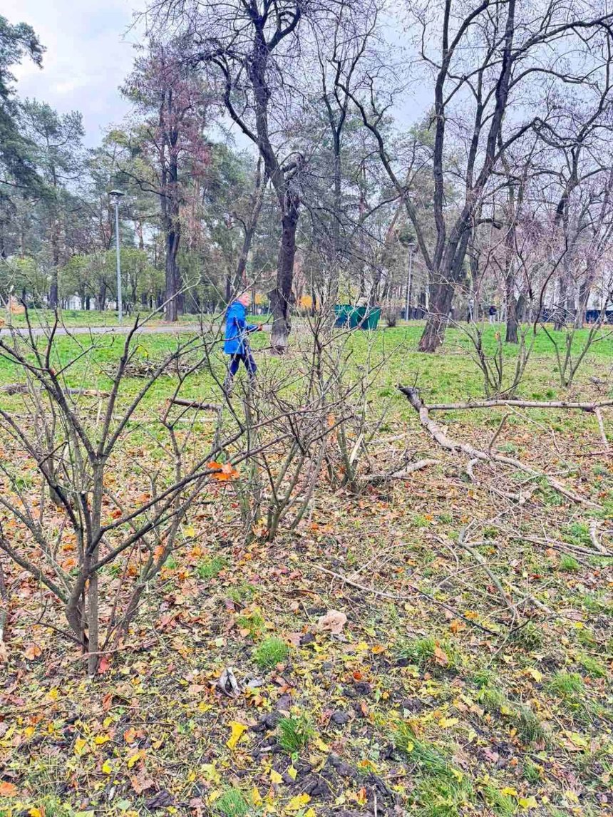 У Києві внаслідок нічної атаки зазнав пошкоджень парк "Кіото"