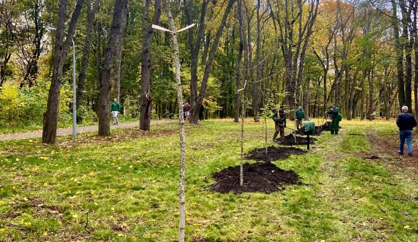 У парку імені Івана Багряного у Києві висадили нові клени: фото