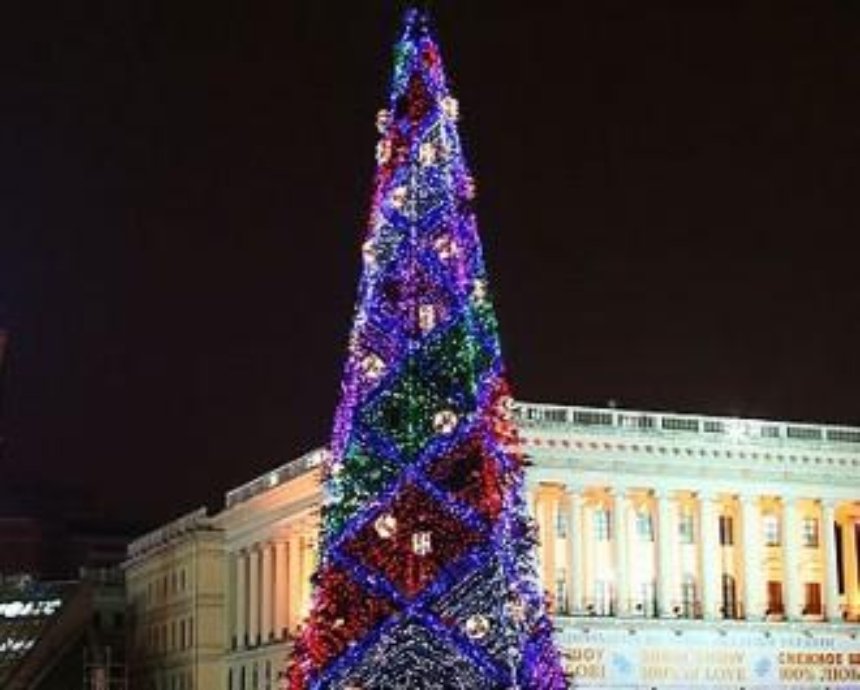 Новогоднюю елку в Киеве можно будет купить за 40 грн