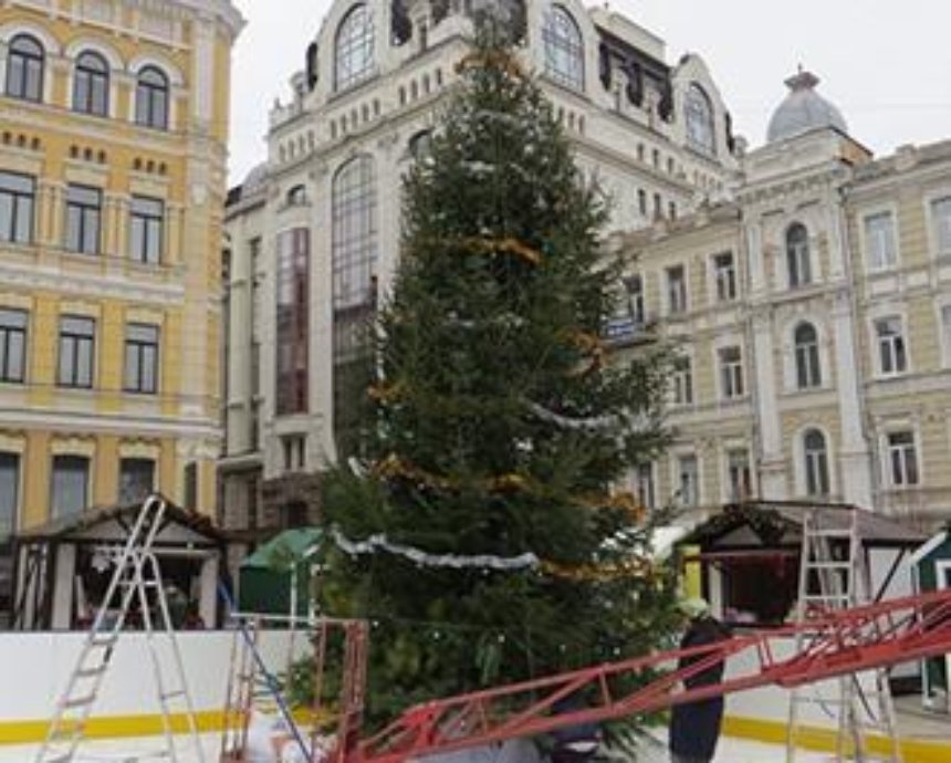 На Софиевской площади появилась первая елка (фото)